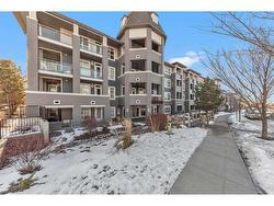 33-25 Auburn Meadows View SE Calgary, AB T3M 2L3