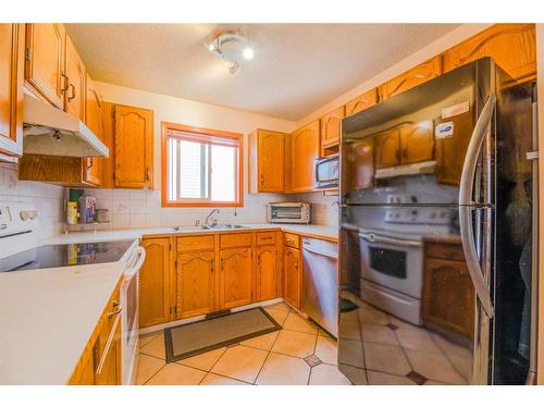 39 Erin Circle Se, Calgary, AB - Indoor Photo Showing Kitchen With Double Sink