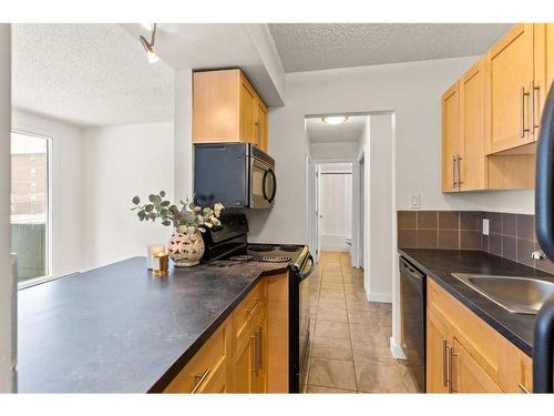 403-620 15 Avenue Sw, Calgary, AB - Indoor Photo Showing Kitchen