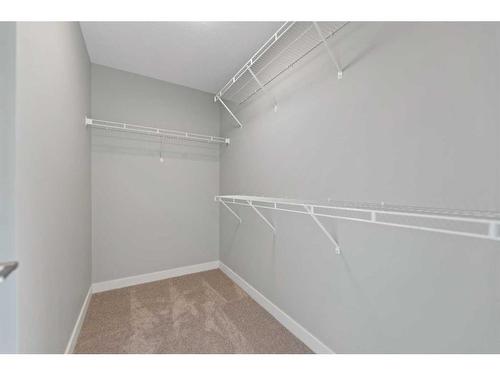 137 Waterford Heath, Chestermere, AB - Indoor With Storage