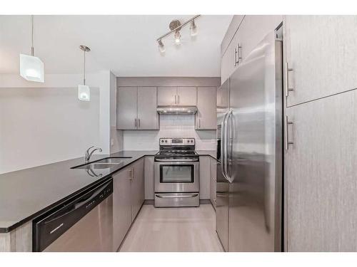 3303-240 Skyview Ranch Road Ne, Calgary, AB - Indoor Photo Showing Kitchen With Stainless Steel Kitchen With Double Sink With Upgraded Kitchen