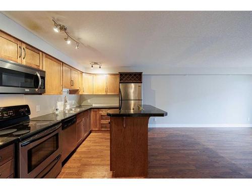 110-355 5 Avenue Ne, Calgary, AB - Indoor Photo Showing Kitchen With Stainless Steel Kitchen With Double Sink