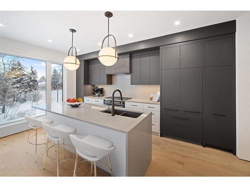 2303 13 Street Nw, Calgary, AB - Indoor Photo Showing Kitchen With Double Sink