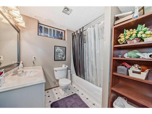 12 Edenstone Way Nw, Calgary, AB - Indoor Photo Showing Bathroom