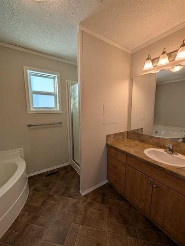 33525 Range Road 41, Rural Mountain View County, AB - Indoor Photo Showing Bathroom