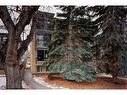 201-313 20 Avenue Sw, Calgary, AB  - Outdoor 