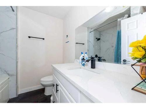 55 Falchurch Road Ne, Calgary, AB - Indoor Photo Showing Bathroom