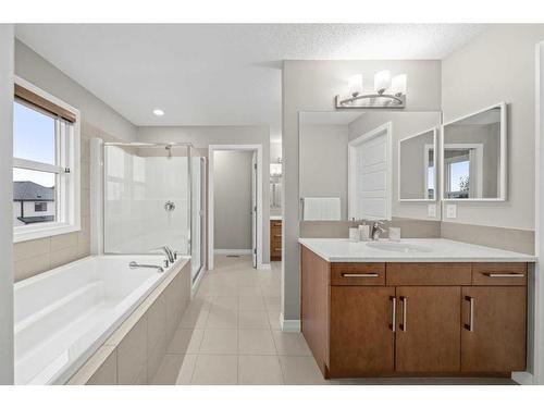 18 Masters Villas Se, Calgary, AB - Indoor Photo Showing Bathroom