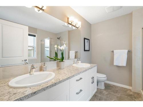 289 Auburn Meadows Boulevard Se, Calgary, AB - Indoor Photo Showing Bathroom