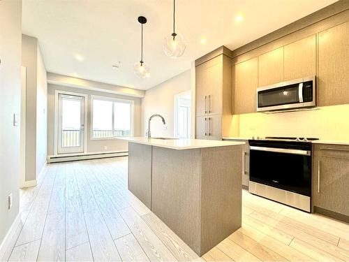 2214-395 Skyview Parkway Ne, Calgary, AB - Indoor Photo Showing Kitchen