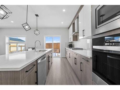 177 Saddlelake Terrace Ne, Calgary, AB - Indoor Photo Showing Kitchen With Upgraded Kitchen