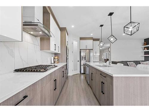 177 Saddlelake Terrace Ne, Calgary, AB - Indoor Photo Showing Kitchen With Double Sink With Upgraded Kitchen