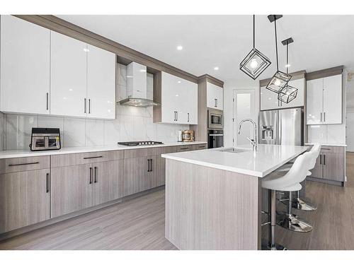 177 Saddlelake Terrace Ne, Calgary, AB - Indoor Photo Showing Kitchen With Upgraded Kitchen