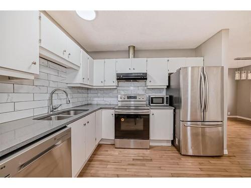 360 Abinger Crescent Ne, Calgary, AB - Indoor Photo Showing Kitchen With Stainless Steel Kitchen With Double Sink