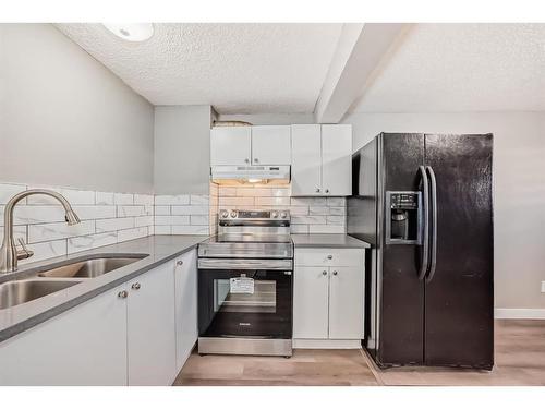 360 Abinger Crescent Ne, Calgary, AB - Indoor Photo Showing Kitchen With Double Sink