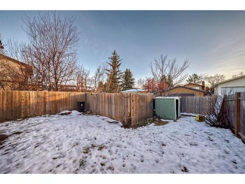 360 Abinger Crescent Ne, Calgary, AB - Outdoor With Backyard