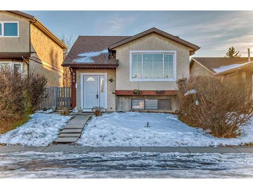 360 Abinger Crescent Ne, Calgary, AB - Outdoor