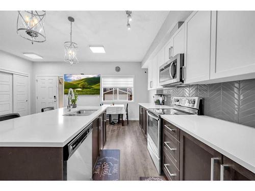 520-32 Red Embers Parade Ne, Calgary, AB - Indoor Photo Showing Kitchen With Double Sink