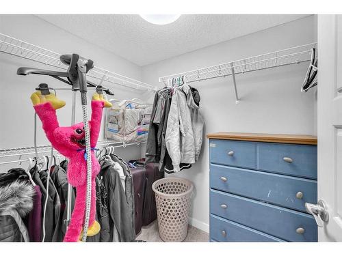 520-32 Red Embers Parade Ne, Calgary, AB - Indoor With Storage