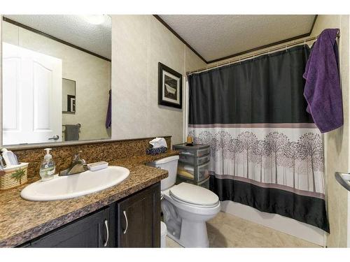 274037A Range Road 214, Rural Wheatland County, AB - Indoor Photo Showing Bathroom