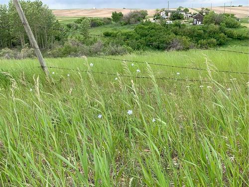 274037A Range Road 214, Rural Wheatland County, AB - Outdoor With View