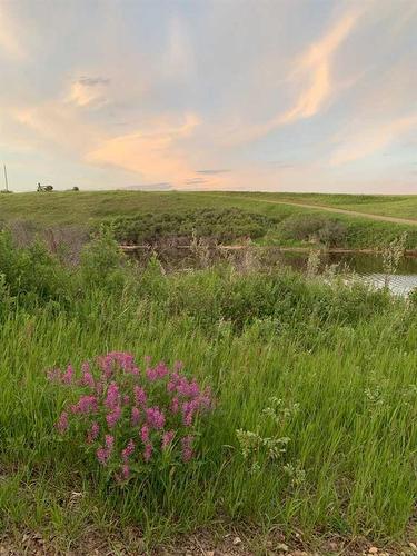 274037A Range Road 214, Rural Wheatland County, AB - Outdoor With View