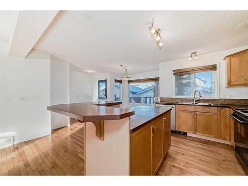 294 Everglen Rise Sw, Calgary, AB - Indoor Photo Showing Kitchen With Double Sink