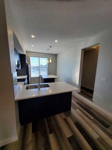 260 Copperleaf Way Se, Calgary, AB - Indoor Photo Showing Kitchen With Double Sink