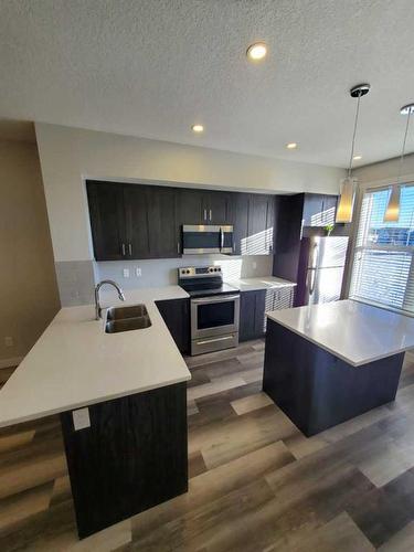 260 Copperleaf Way Se, Calgary, AB - Indoor Photo Showing Kitchen With Double Sink