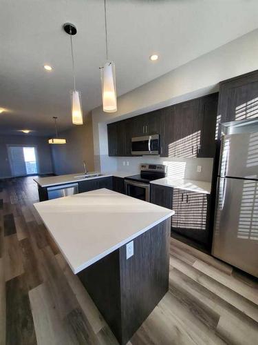 260 Copperleaf Way Se, Calgary, AB - Indoor Photo Showing Kitchen With Upgraded Kitchen