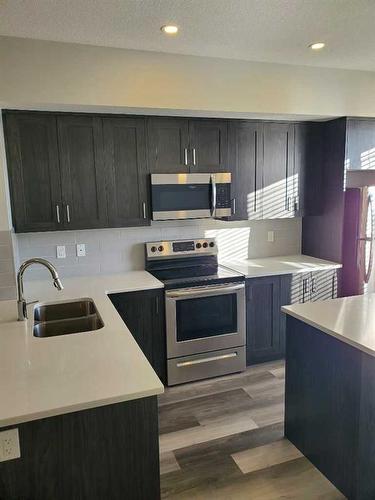 260 Copperleaf Way Se, Calgary, AB - Indoor Photo Showing Kitchen With Stainless Steel Kitchen With Double Sink