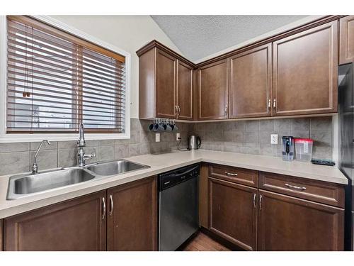 17 Martinvalley Crescent Ne, Calgary, AB - Indoor Photo Showing Kitchen With Double Sink