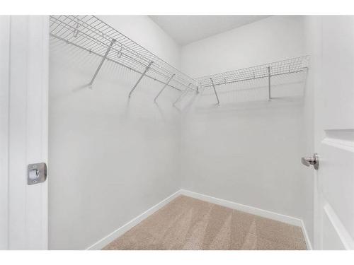 296 Cornerbrook Drive, Calgary, AB - Indoor With Storage