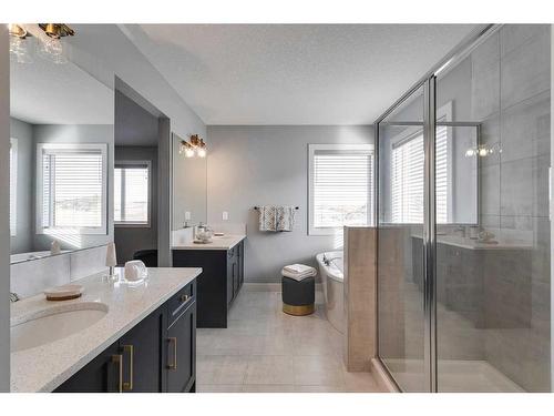 91 Sundown Crescent, Cochrane, AB - Indoor Photo Showing Bathroom