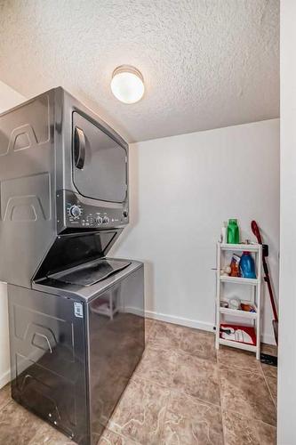 302-429 14 Street Nw, Calgary, AB - Indoor Photo Showing Laundry Room