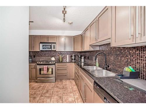 302-429 14 Street Nw, Calgary, AB - Indoor Photo Showing Kitchen With Double Sink