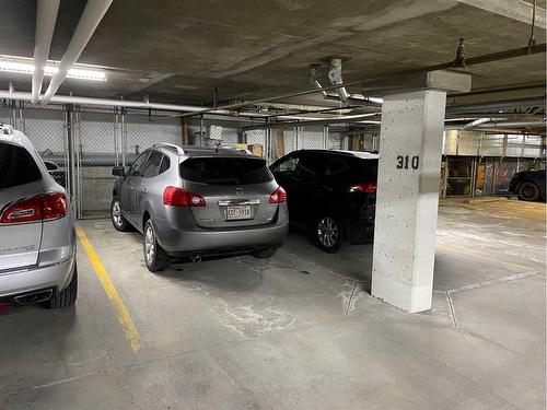 505-10 Discovery Ridge Close Sw, Calgary, AB - Indoor Photo Showing Garage