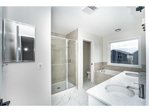 23 Homestead Passage Ne, Calgary, AB - Indoor Photo Showing Bathroom