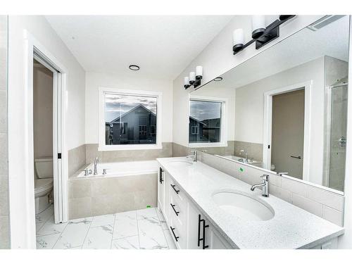 23 Homestead Passage Ne, Calgary, AB - Indoor Photo Showing Bathroom