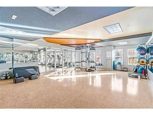 2511-11811 Lake Fraser Drive Se, Calgary, AB - Indoor Photo Showing Gym Room