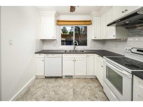 4124 Brisebois, Calgary, AB - Indoor Photo Showing Kitchen With Double Sink