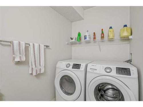 238 Citadel Meadow Grove Nw, Calgary, AB - Indoor Photo Showing Laundry Room