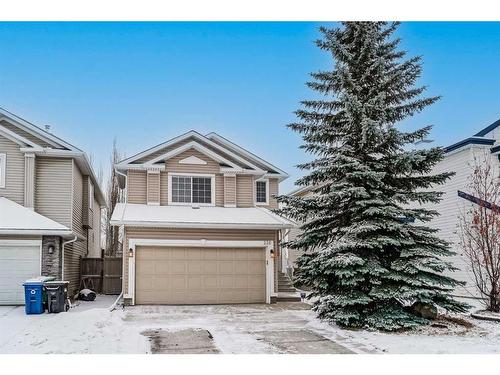 238 Citadel Meadow Grove Nw, Calgary, AB - Outdoor