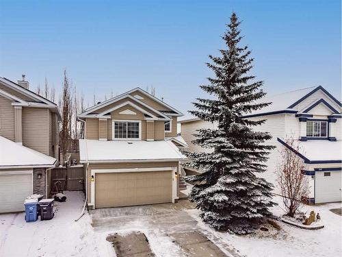 238 Citadel Meadow Grove Nw, Calgary, AB - Outdoor