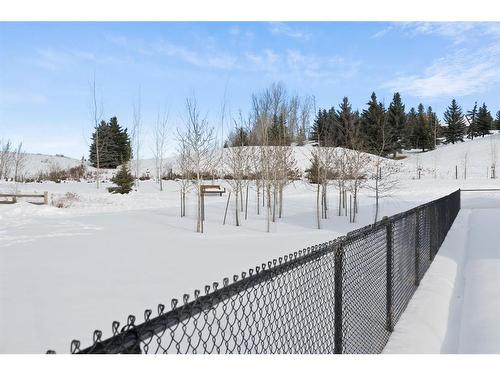 6 Crimson Ridge Cove Nw, Calgary, AB - Outdoor