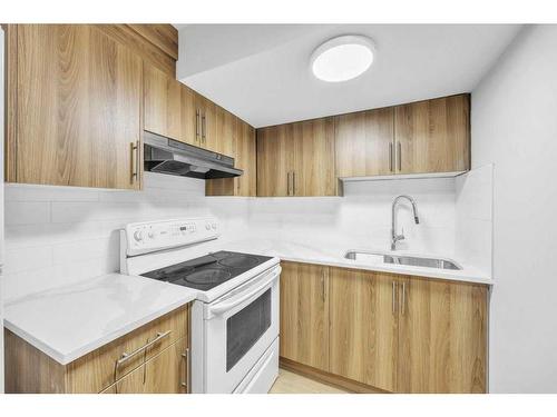 8 Martinglen Mews Ne, Calgary, AB - Indoor Photo Showing Kitchen With Double Sink