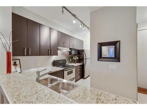 405-830 Centre Avenue Ne, Calgary, AB - Indoor Photo Showing Kitchen With Double Sink