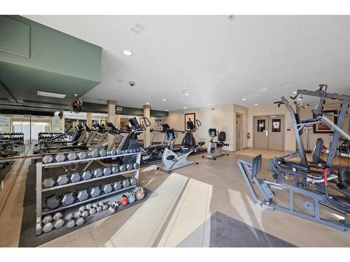 410-30 Discovery Ridge Close Sw, Calgary, AB - Indoor Photo Showing Gym Room