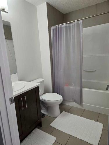 356 Bayview Way Sw, Airdrie, AB - Indoor Photo Showing Bathroom