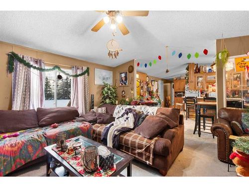 28370 Township Road 304, Rural Mountain View County, AB - Indoor Photo Showing Living Room